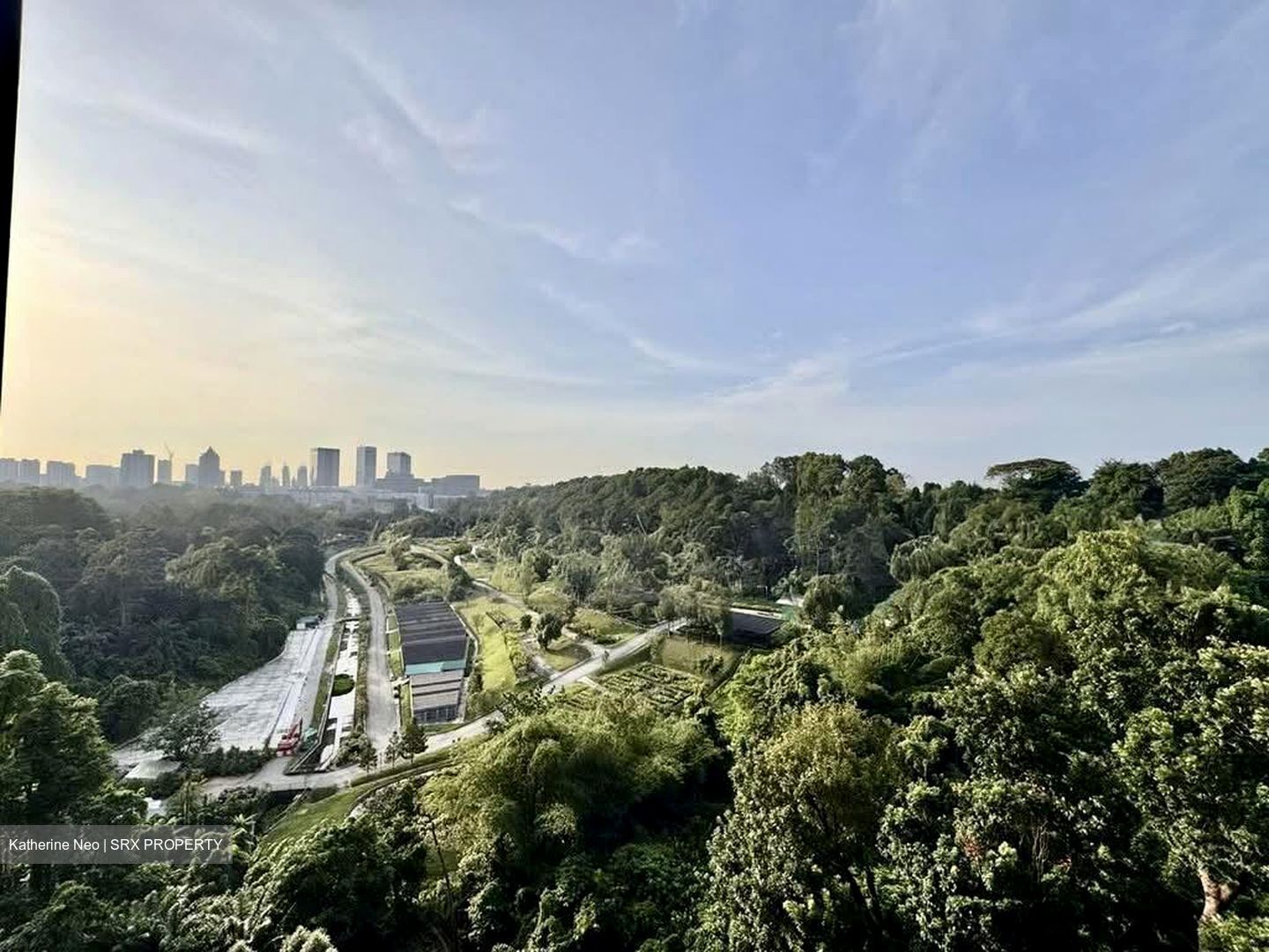 Normanton Park (D5), Apartment #541936961